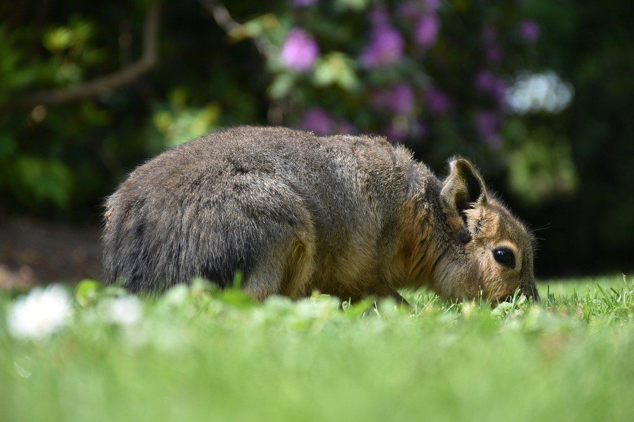 3. 时尚休闲家具