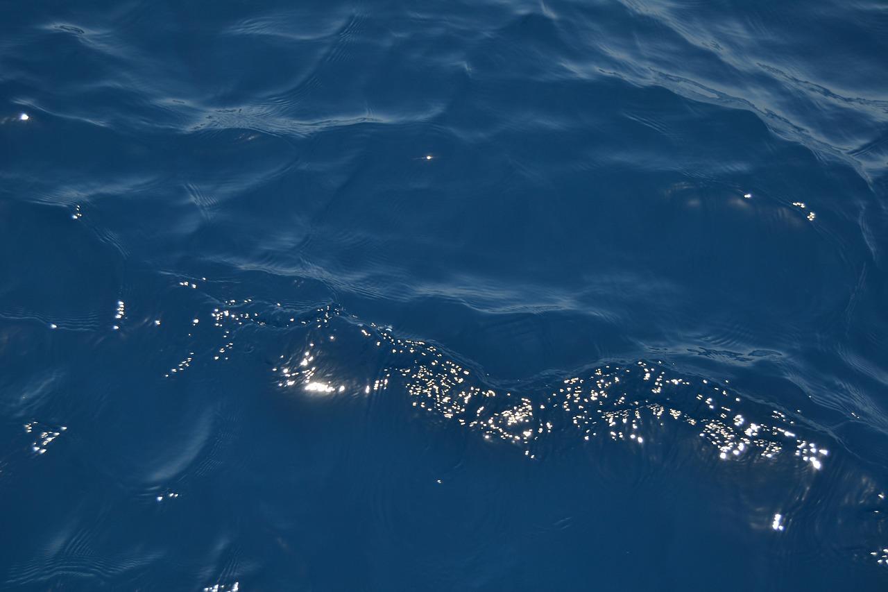 3. 水质检测报告