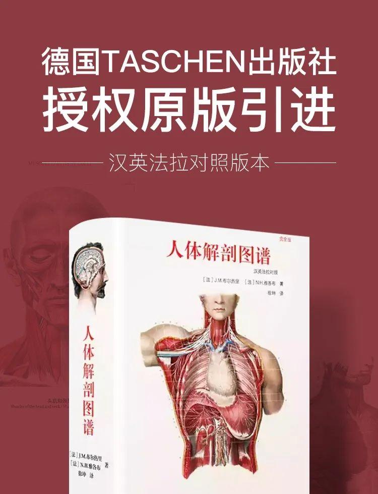 人体解剖图谱】人类的自我认识之旅- 知乎