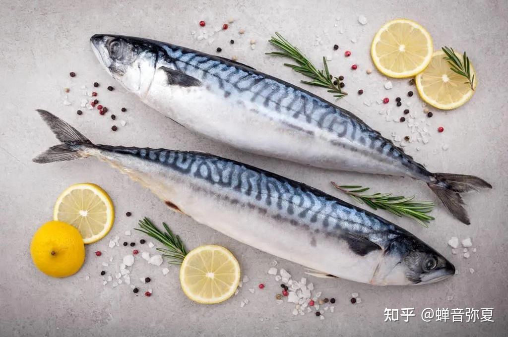 马鲛鱼富含什么营养价值? - 知乎