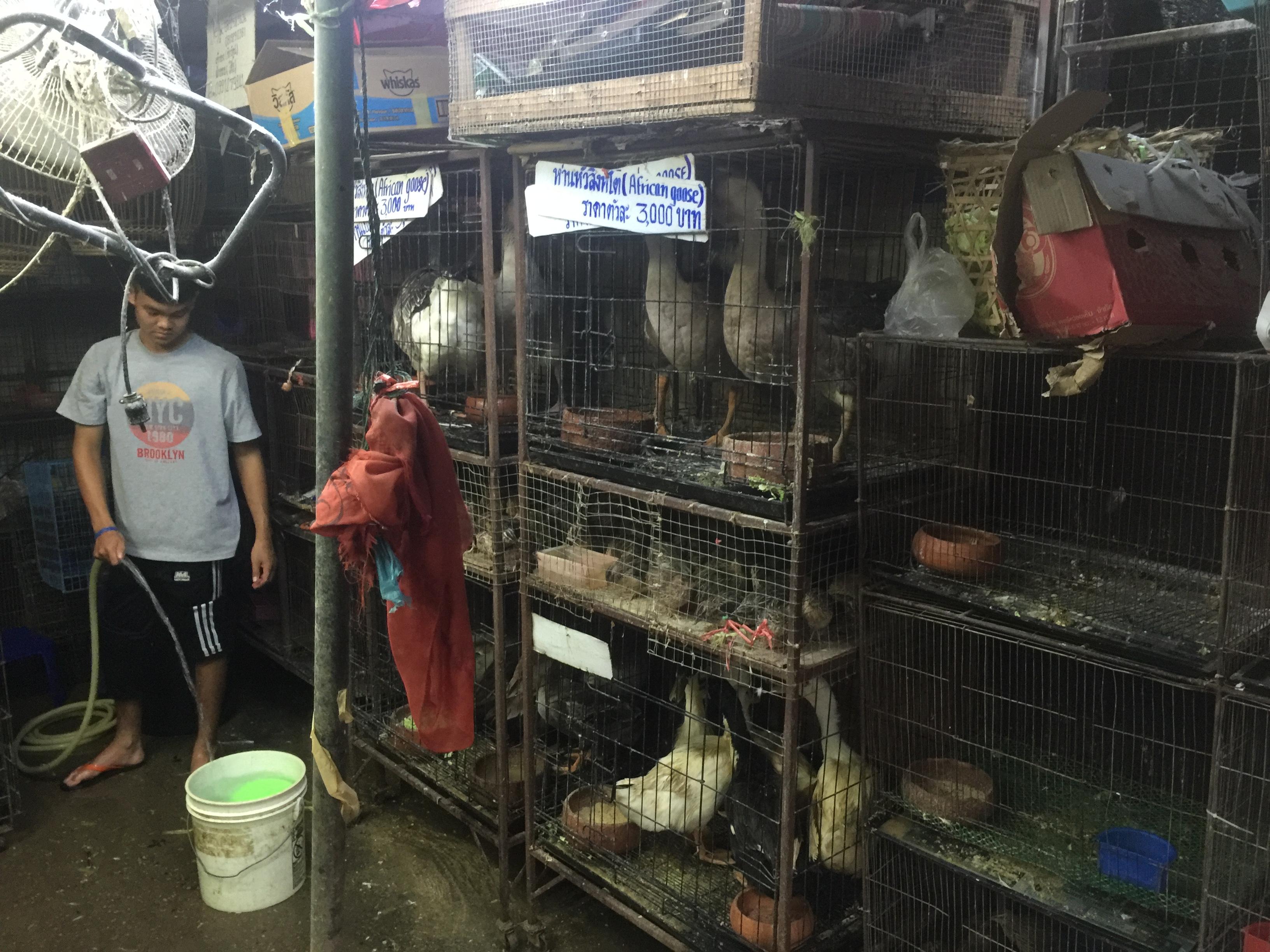 泰国哪些地方值得去?