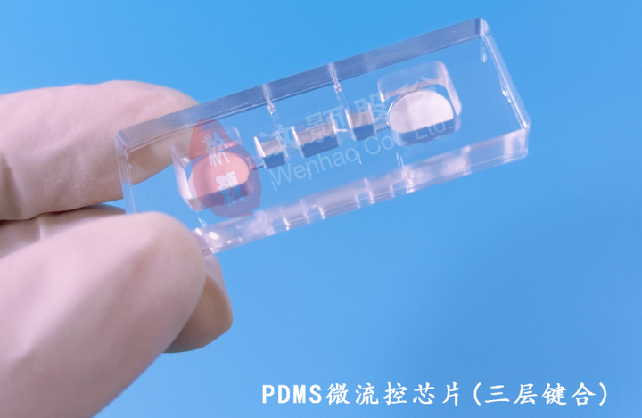 微流控芯片的组成结构 - 知乎