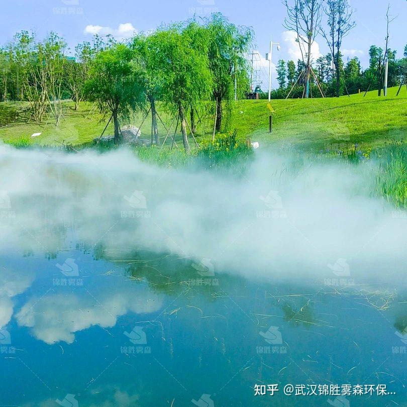 武汉东湖梅园,雾森系统是如何营造氛围的? - 知乎