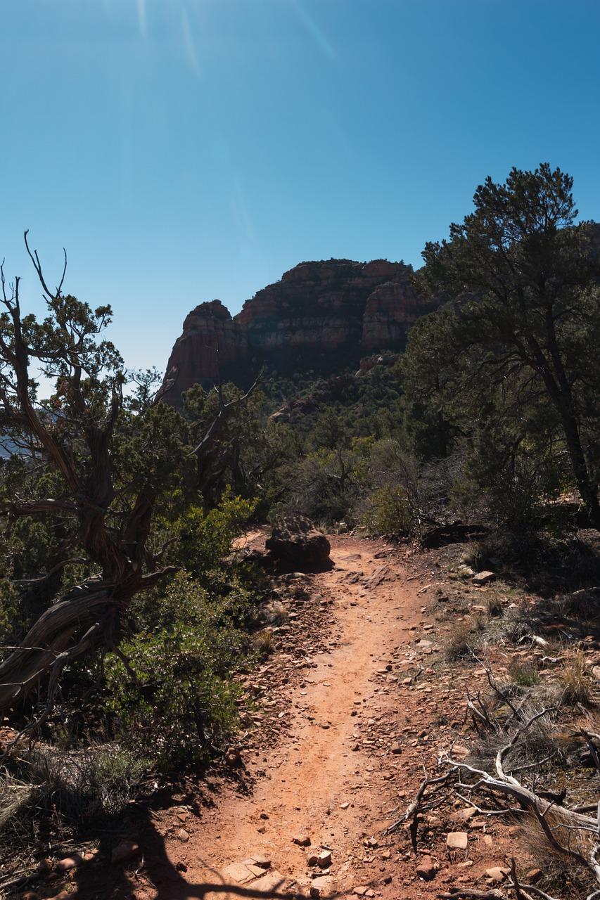 多层电梯房更佳