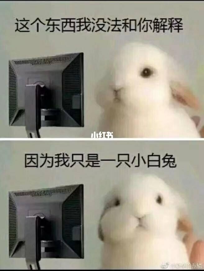 哈萨克斯坦因「取消液化石油气价格管制」爆发大规模抗议,总统宣布解散政府,目前当地情况如何?