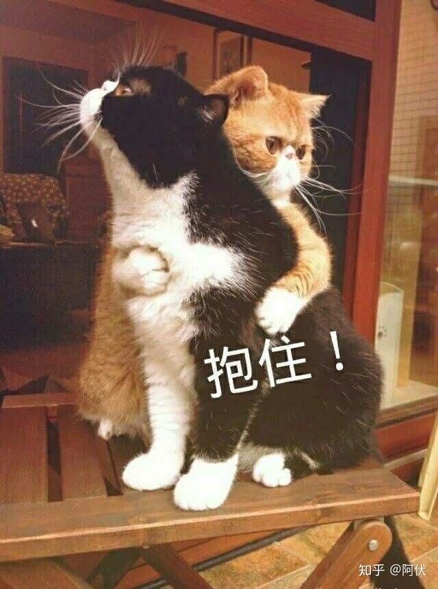 有没有很好哄女孩子的表情包