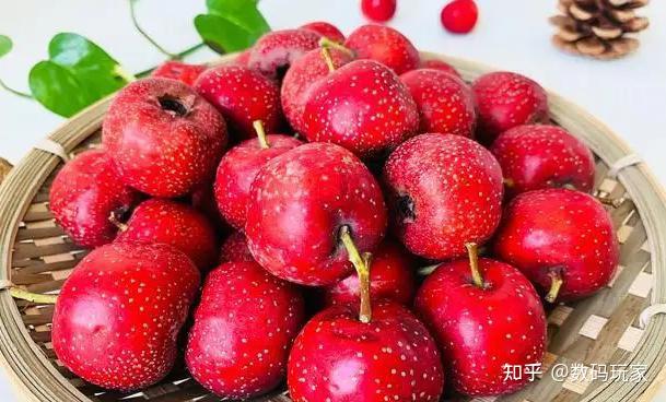 吃山楂 知乎