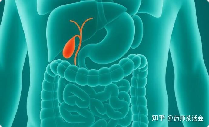 国际上对胆管癌：最新风险因素、诊断及2025年胆管癌先进治疗方案 - 知乎