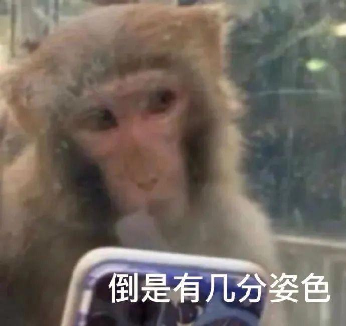 吗喽表情包第三波来咯! - 知乎