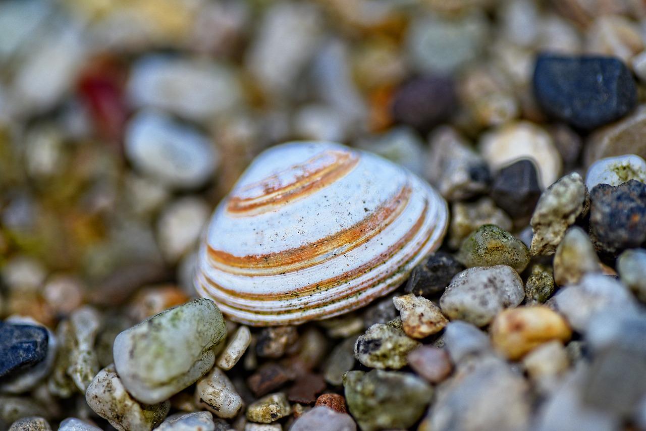 2. 安全注意事项