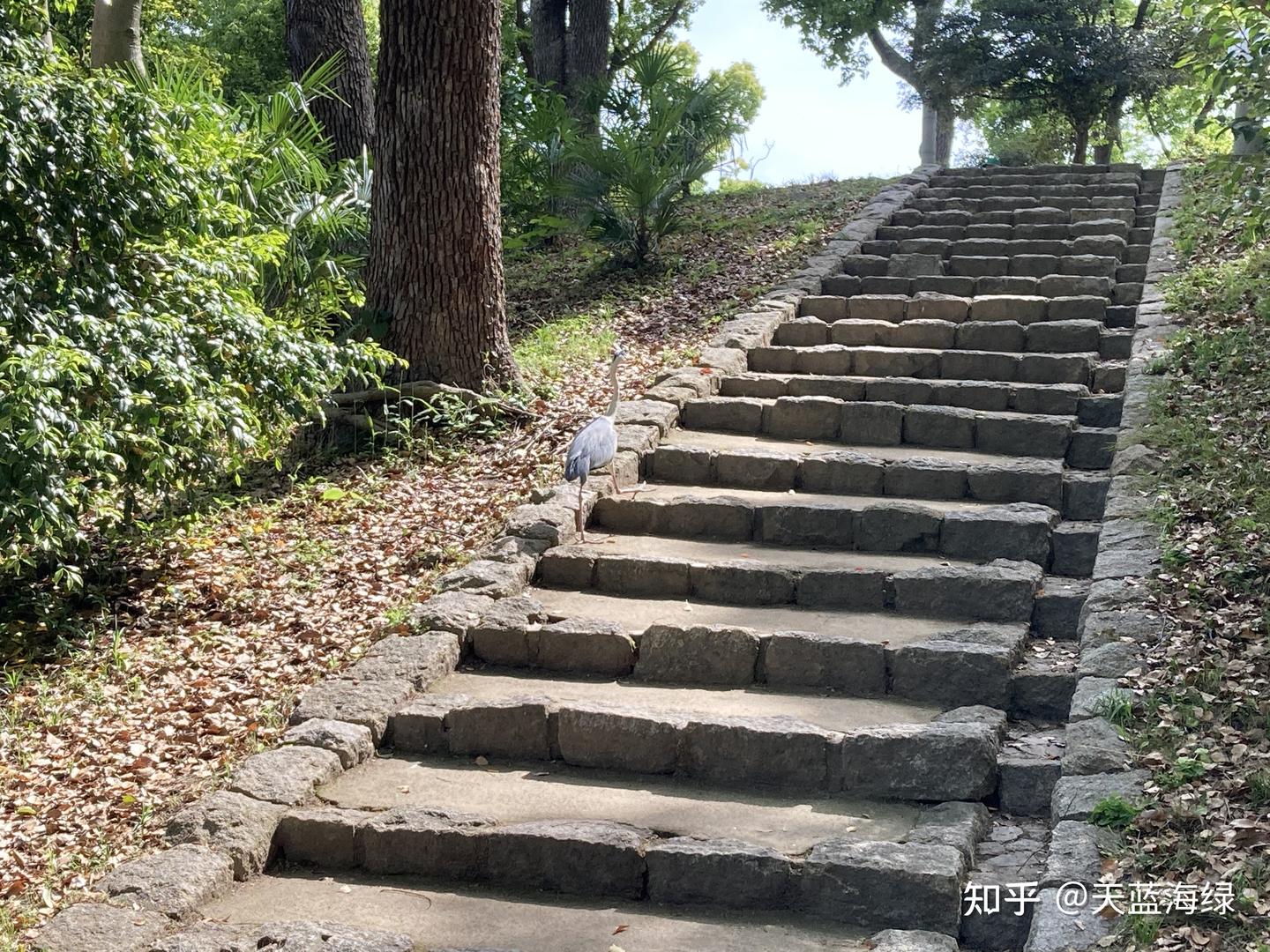 日本经营管理签证的几笔账- 知乎