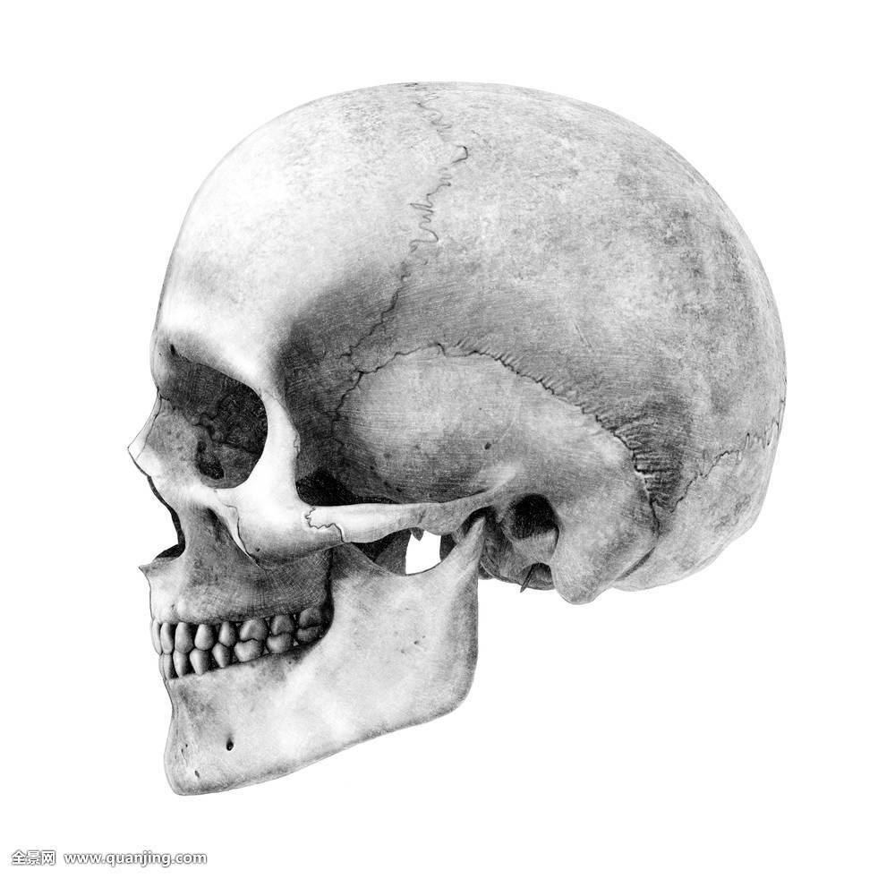 为什么人类在打架时不会漏出自己的犬齿