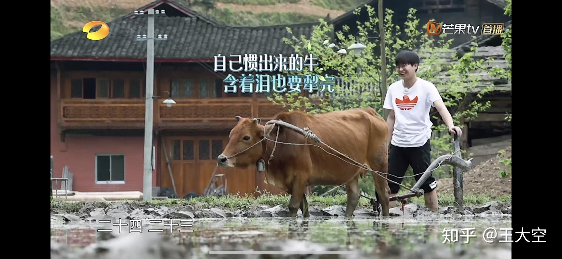 如何评价向往的生活第三季第二期