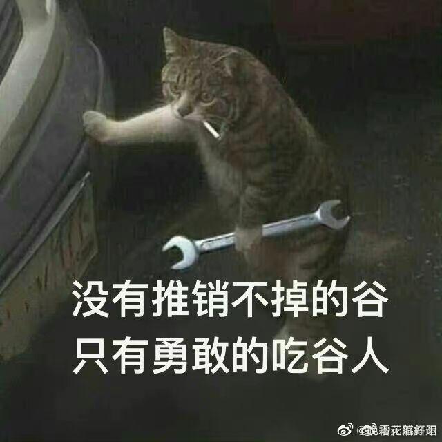 有没有什么绘圈谷圈的表情包? - 知乎