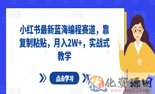 《小红书最新蓝海编程赛道》靠复制粘贴，月入2W+，实战式教学_wwz