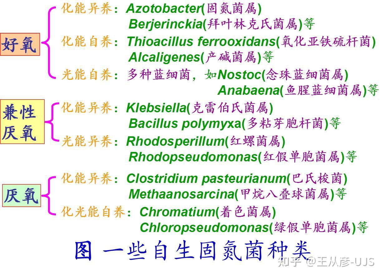 环境微生物之代谢 - 知乎