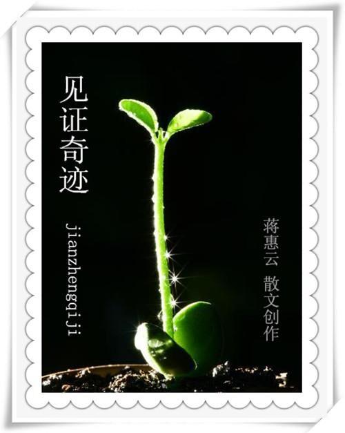 见证奇迹的时刻