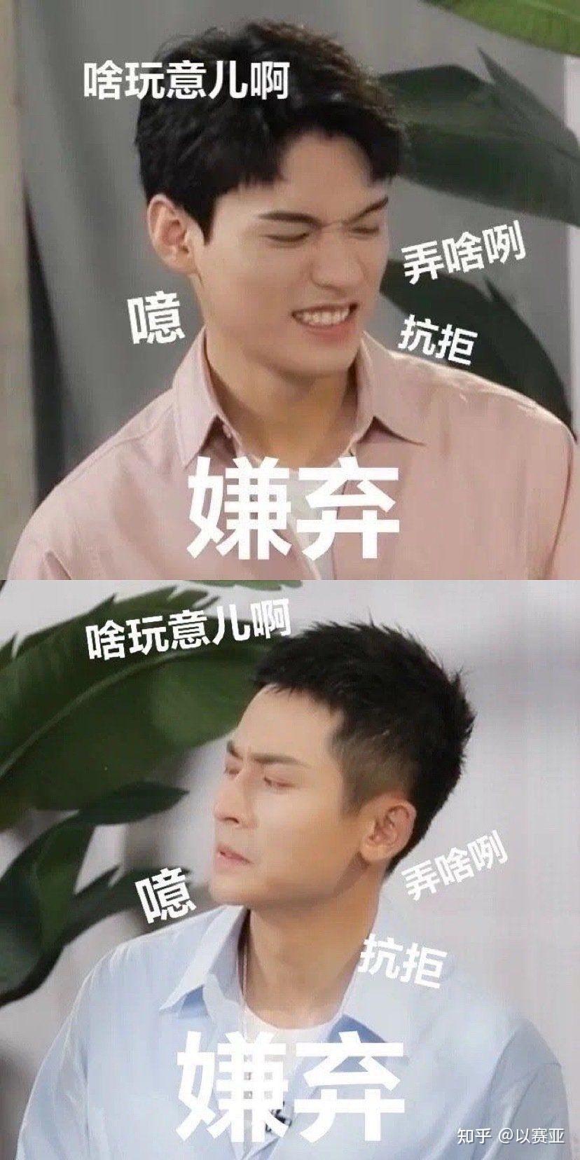 你如何看待山河令编剧小初的这份采访?