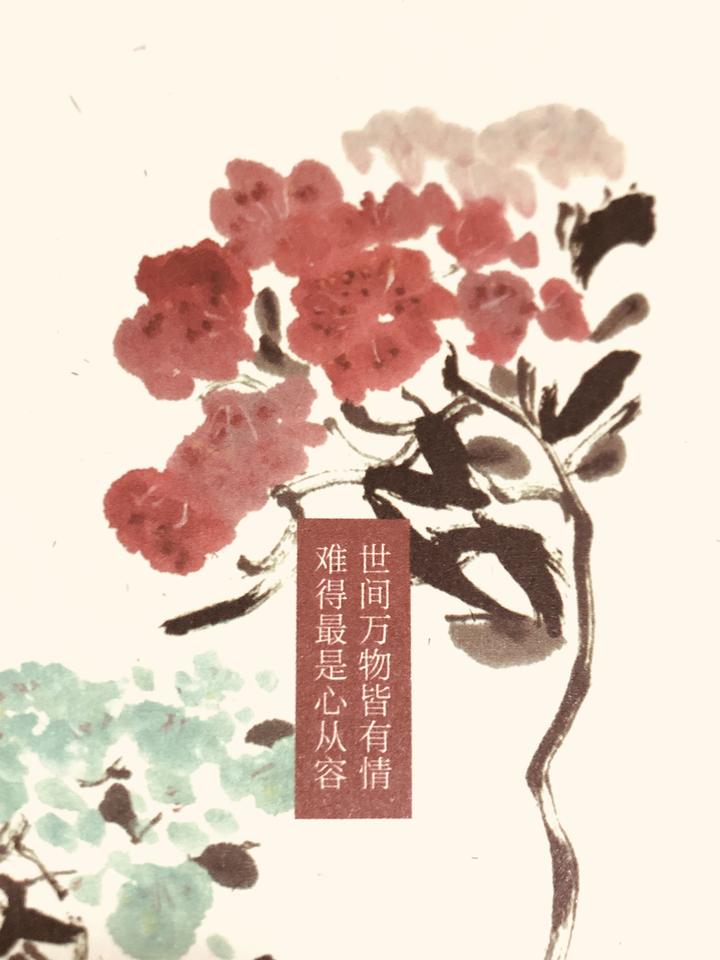 难得最是心从容（一）——福流体验 - 知乎
