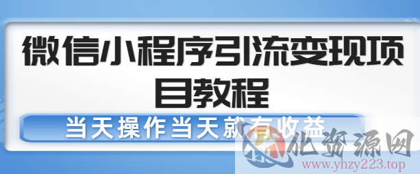 微信小程序引流变现项目教程，当天操作当天就有收益，变现不再是难事插图