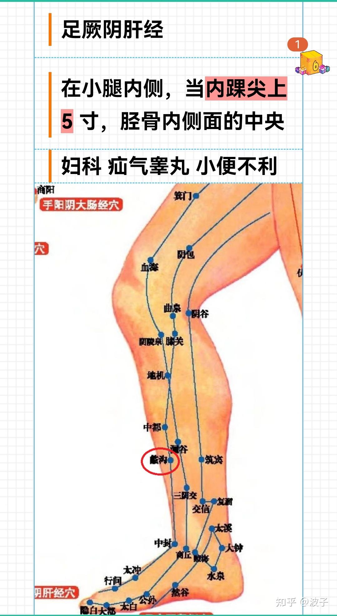 肝经蠡沟的准确位置图图片