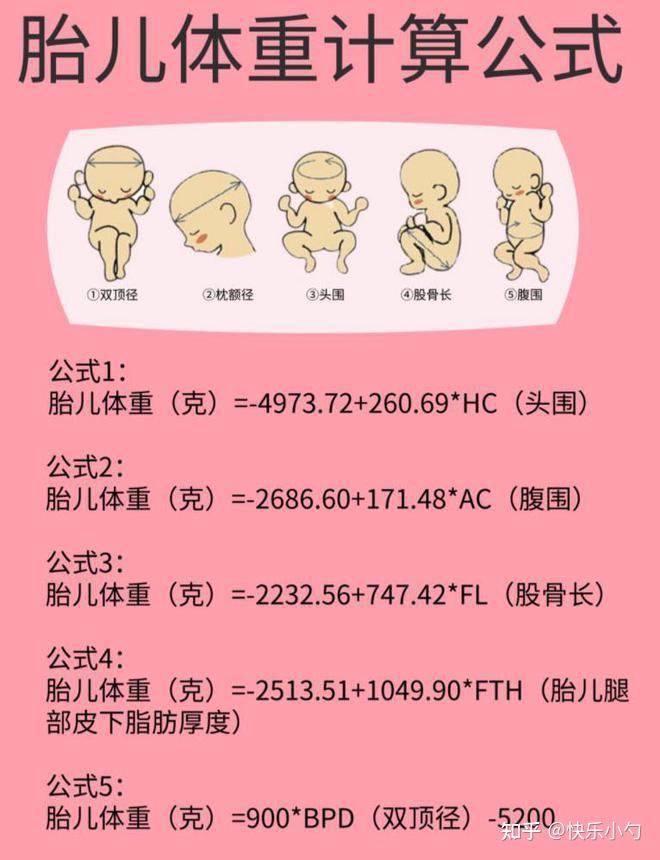 21周胎儿的大小是多少