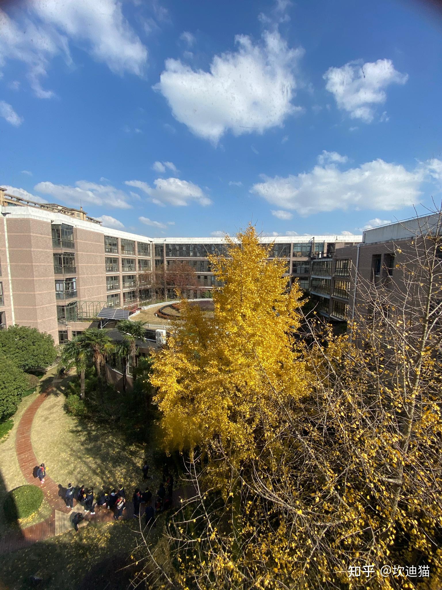 在上海市实验学校东校(sees)读书是一种怎样的体验? - 知乎