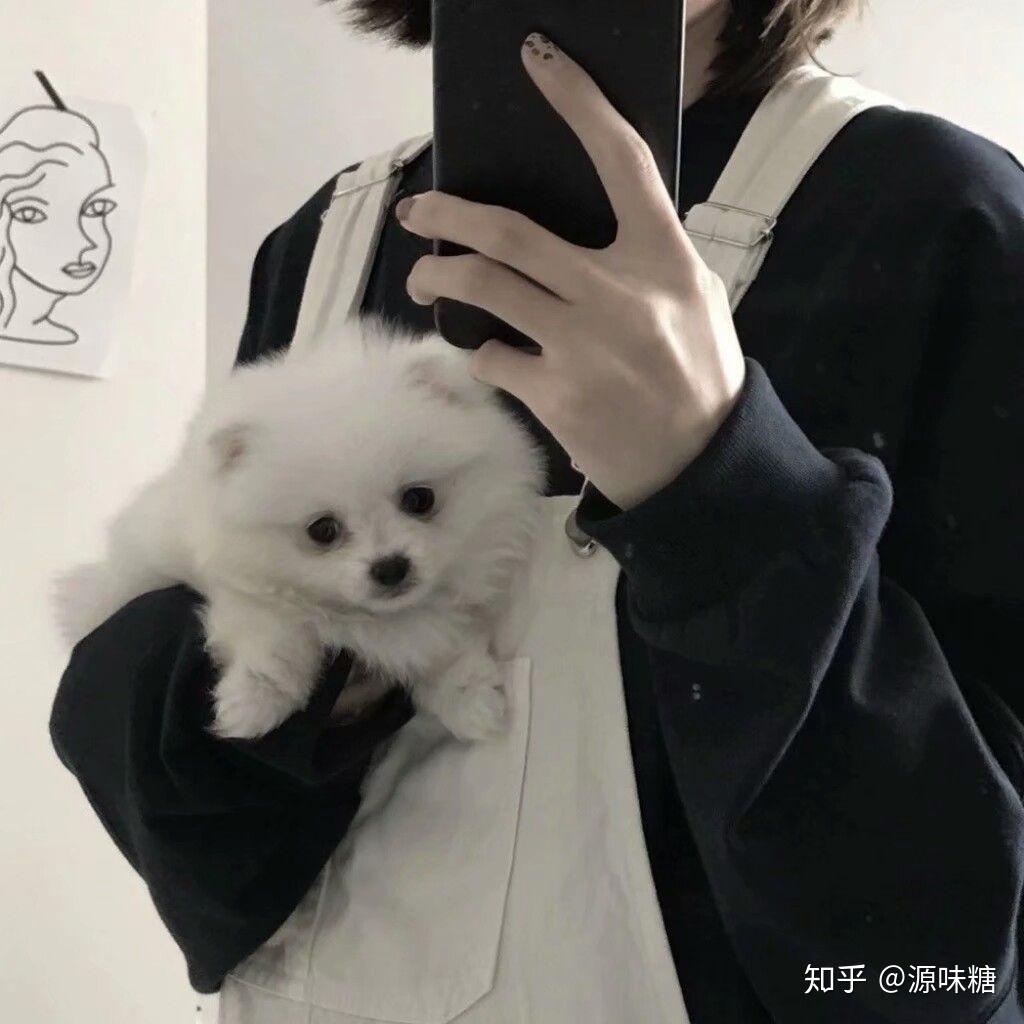 有没有女孩子抱着狗狗的头像,越多越好? - 知乎