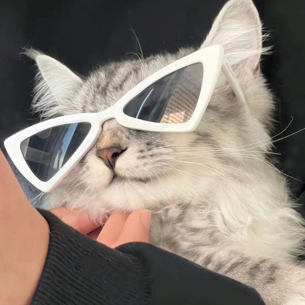 有没有好看的微信头像,求图求图!