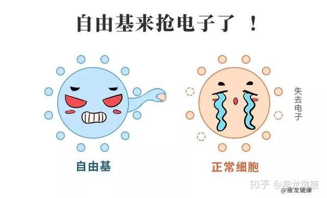 什么是酮体?我一直生酮,为什么酮体越来越低了? - 知乎
