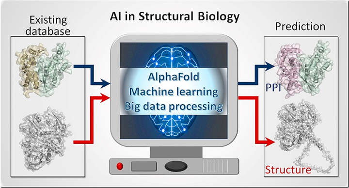 Alphafold、人工智能ai和蛋白变构 知乎 8393