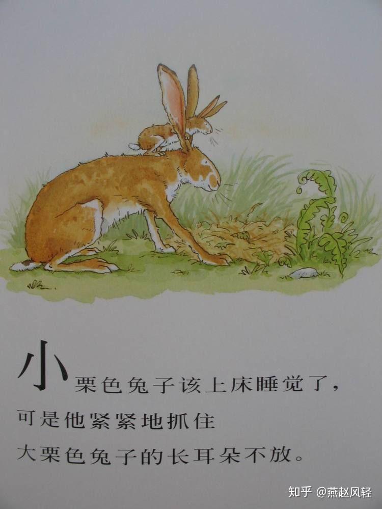 大兔子和小兔子的爱情故事求解答内涵意思