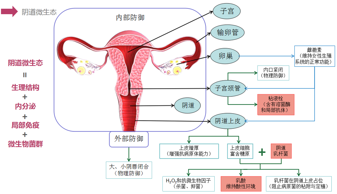 21岁没有过过性生活的女生,私处有必要用女性护理液清洁么? - 知乎