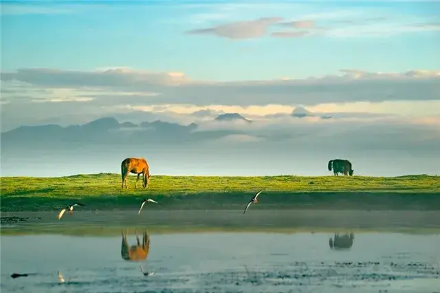 甘南登上夸克热搜出行榜小众热门目的地榜首