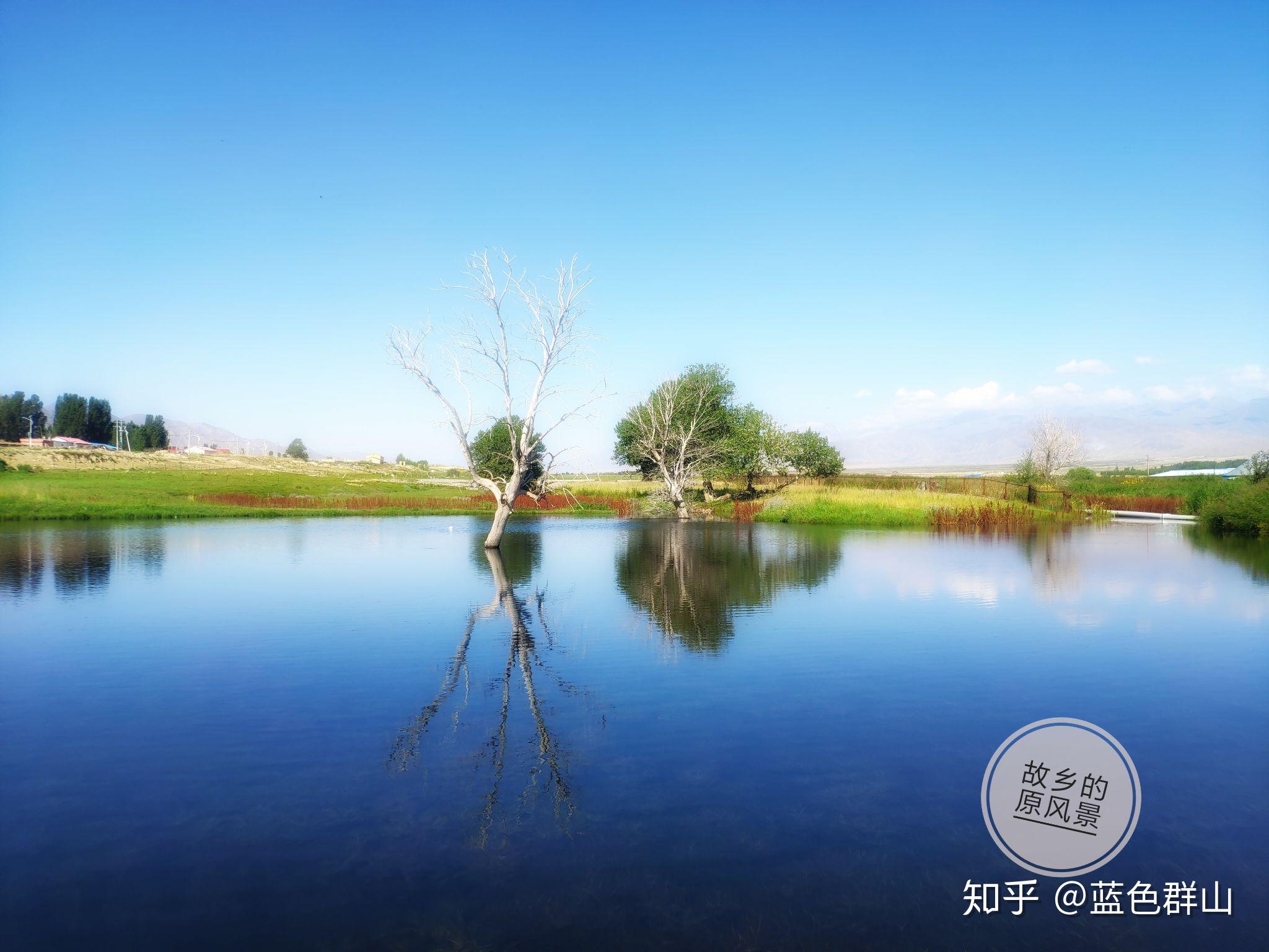 请问在新疆博乐市生活是什么样的体验? - 知乎