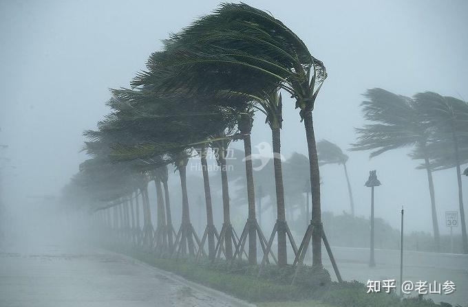 文笔挑战不提风怎么描写风很大