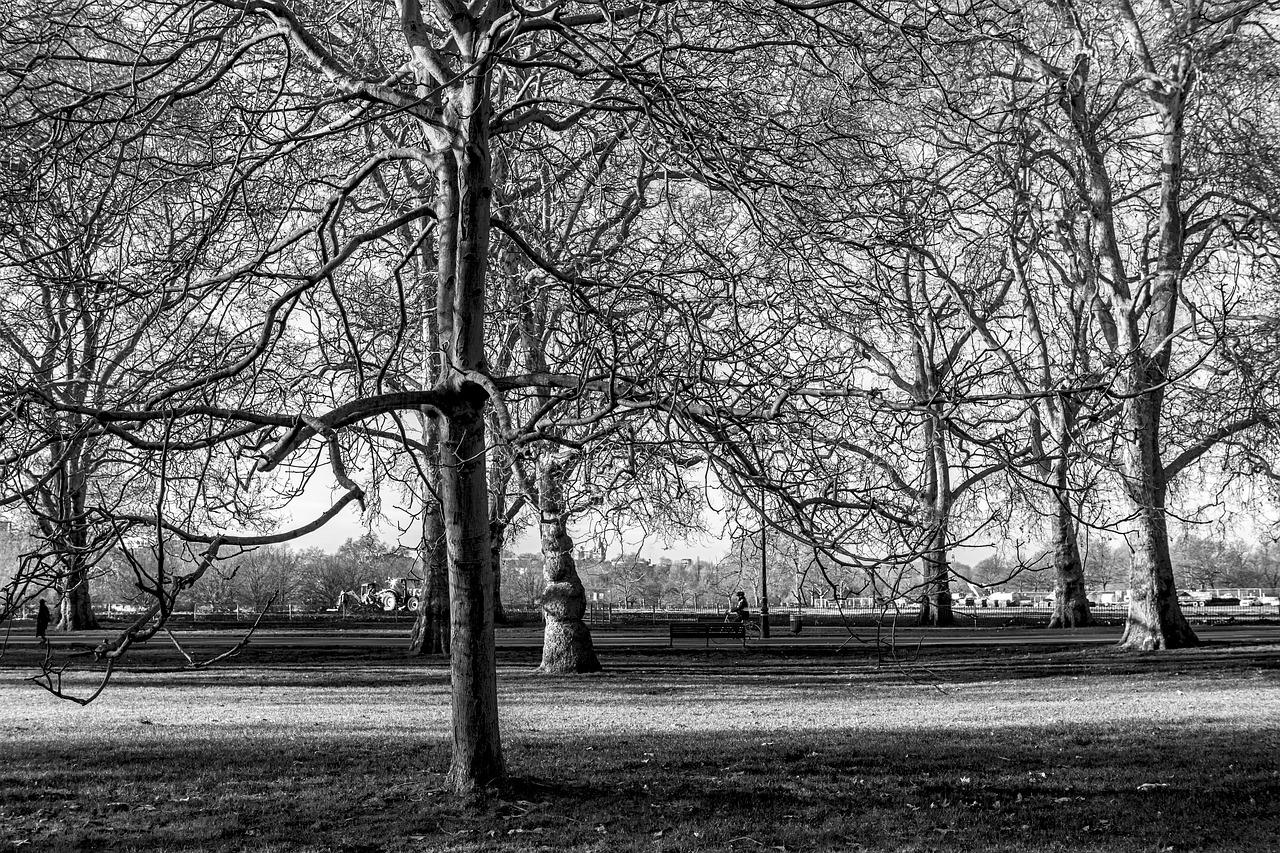 4. 小汤山公园交通