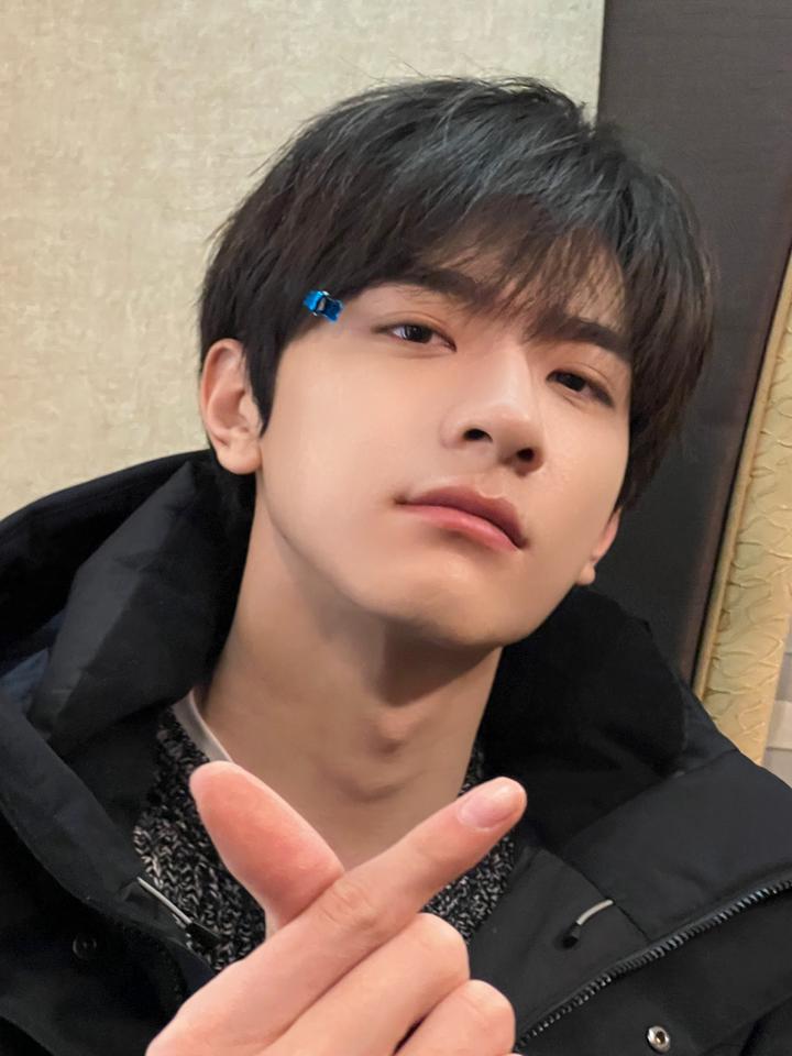 林一壁纸(高清无水印)