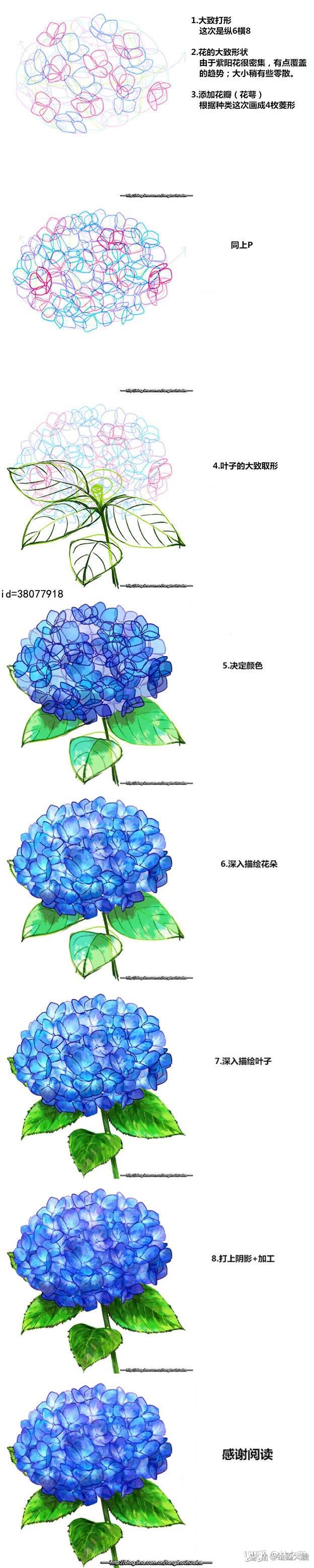 【干货】关于花的画法合集！来‘花花世界’，学画花的婀娜多姿~ - 知乎