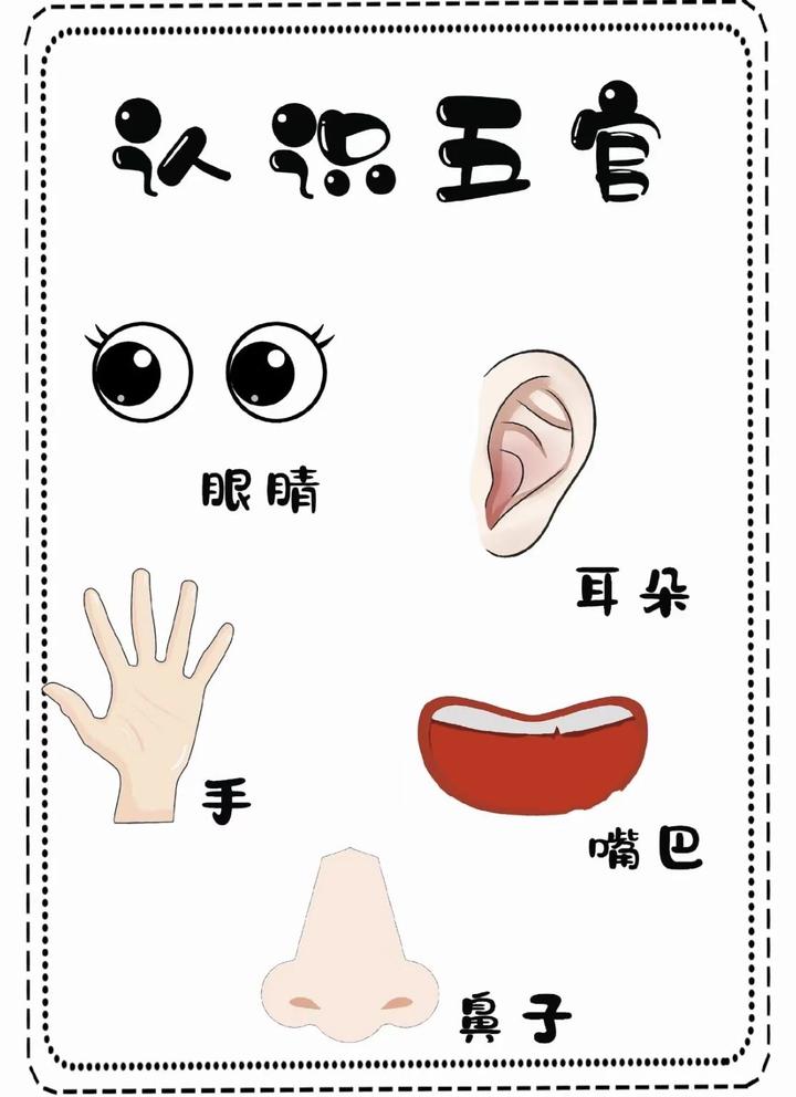 幼儿园认识五官|可直接打印使用 - 知乎