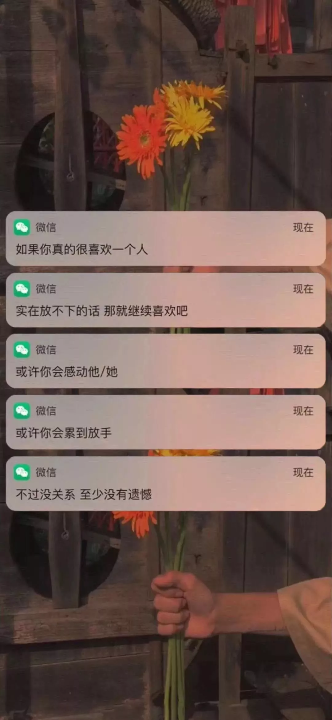 关于qq点个性名片赞为什么会消失的信息