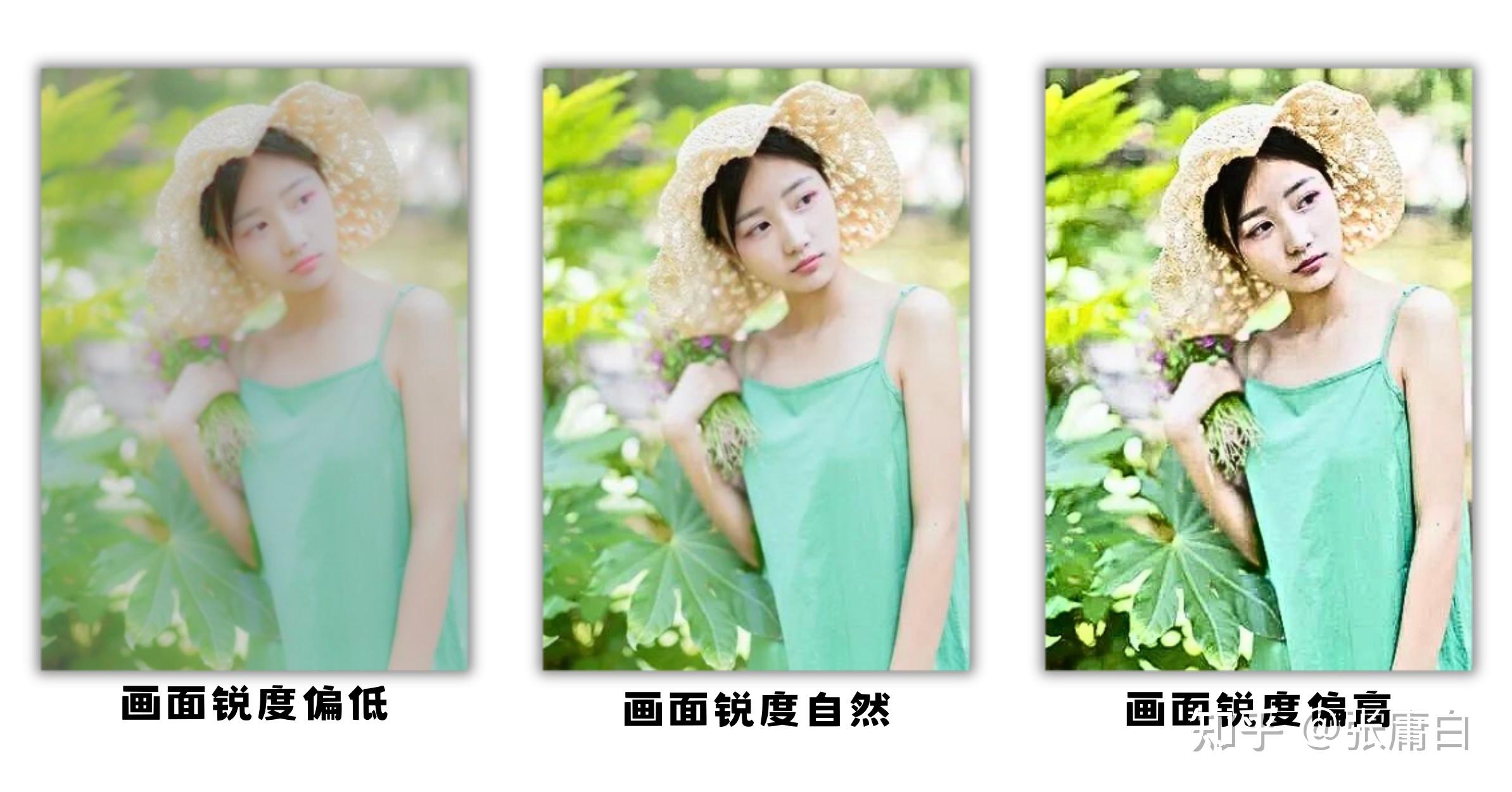 如何拍摄出清晰、锐利的照片? - 知乎