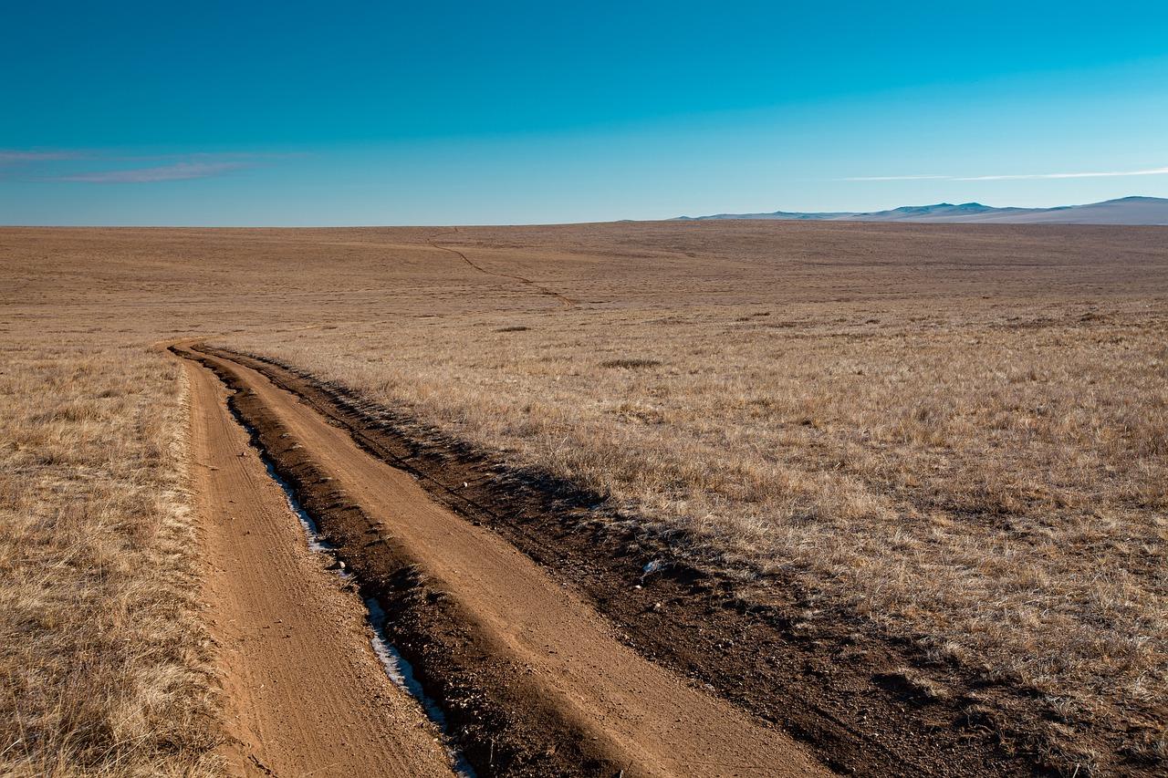 露珠点缀的清晨