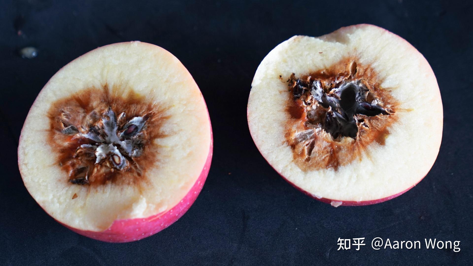 苹果霉心病的危害症状有哪些?