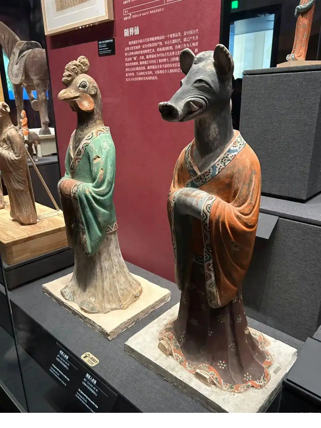 我眼中的那些馆藏珍宝之新疆博物馆- 知乎