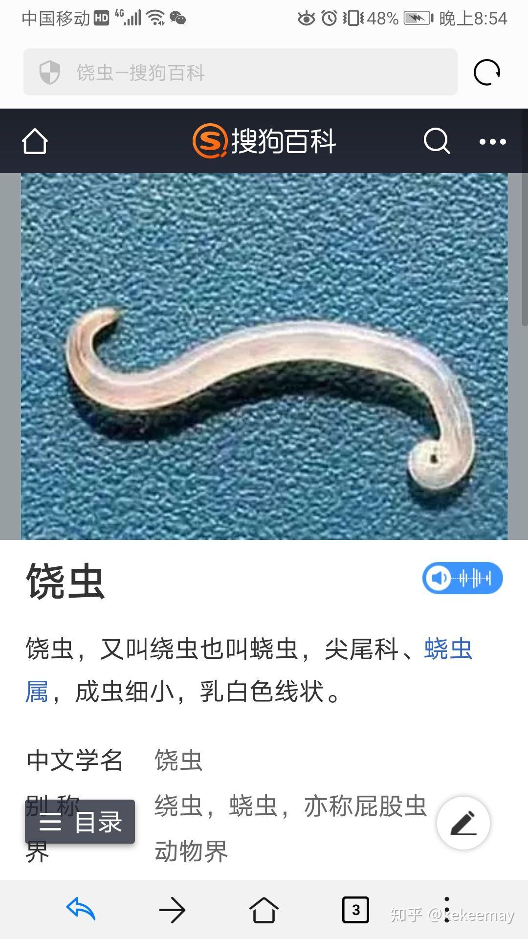 猫咪拉出白色寄生虫是什么虫子