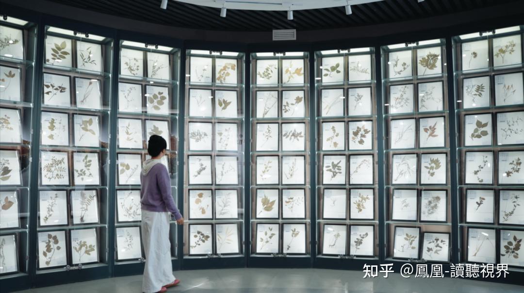 旅游四川·梓潼 | 药香之旅：踏青寻百草 康养悟千年 - 知乎