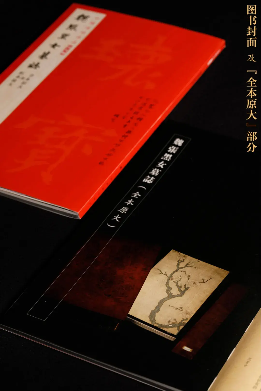 全本原色原大+首度高清放大，亲民版《魏张黑女墓志》来了！ - 知乎