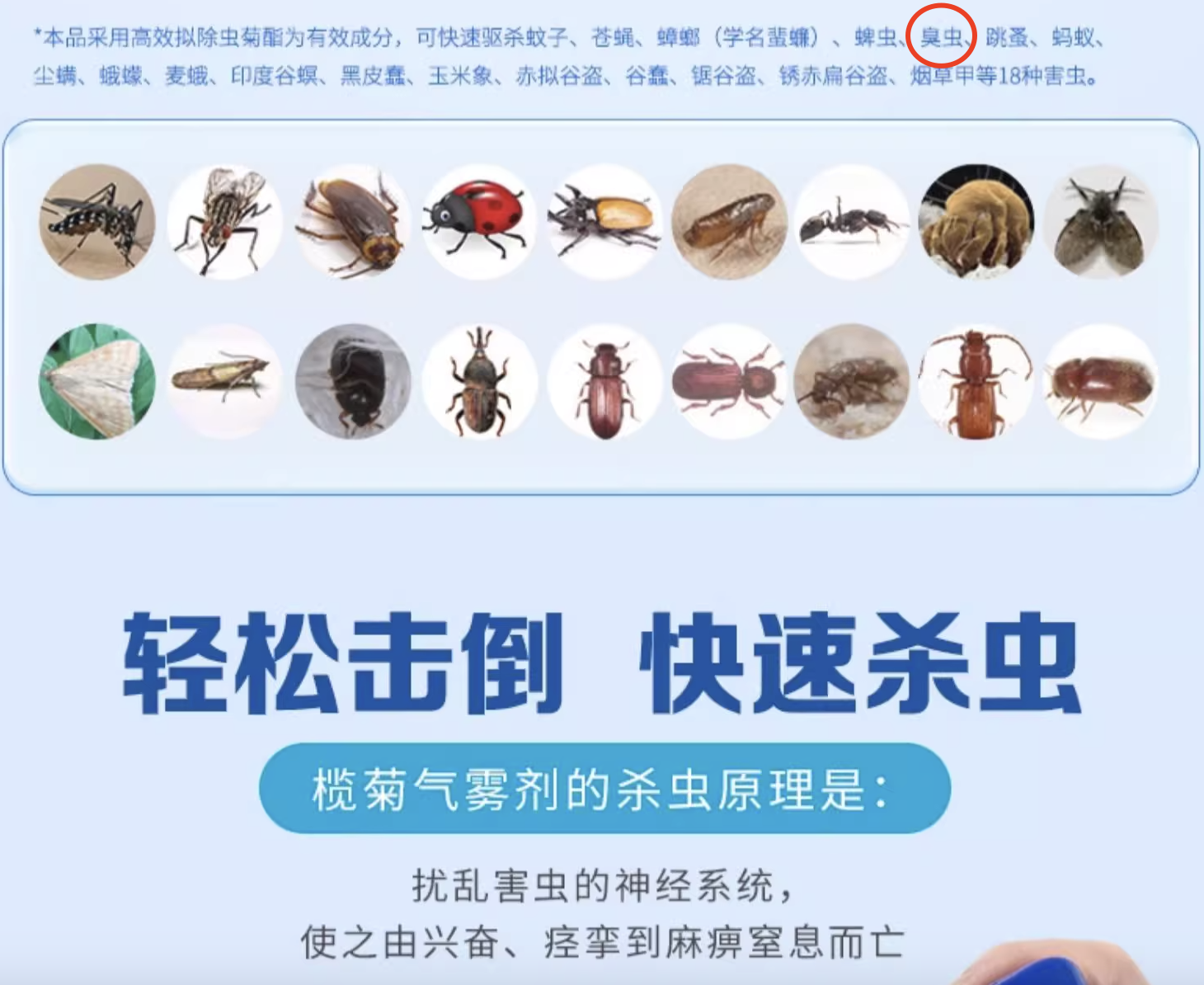 怎么有效杀灭床虱? - 知乎