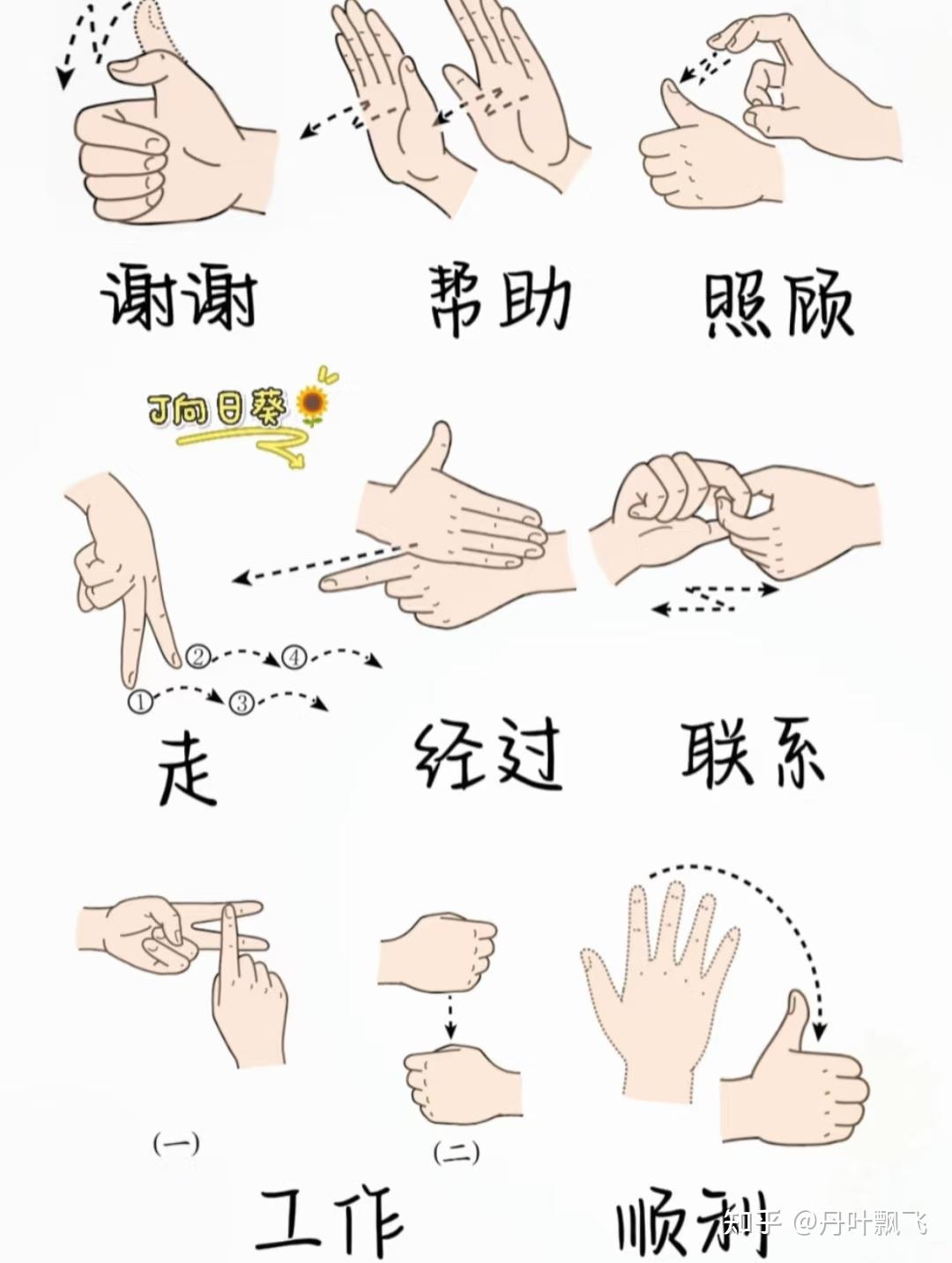 普通人如何快速学会简单「手语」帮助听障人士? - 知乎